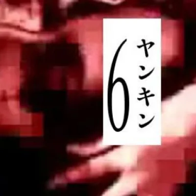 6янкин6yankin