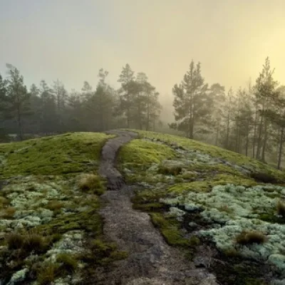 suomen tuuli: о финляндии с любовью 🇫🇮