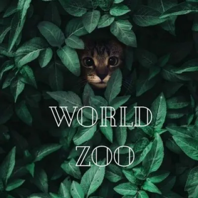 World ZOO 🐿