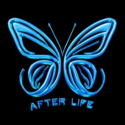 AFTER LIFE