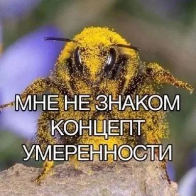 И рече Грасс