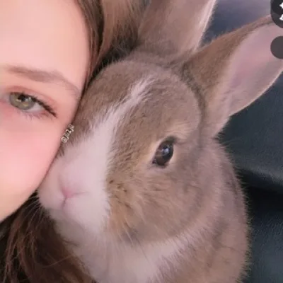 𝐵𝑜𝑏𝑎🐰