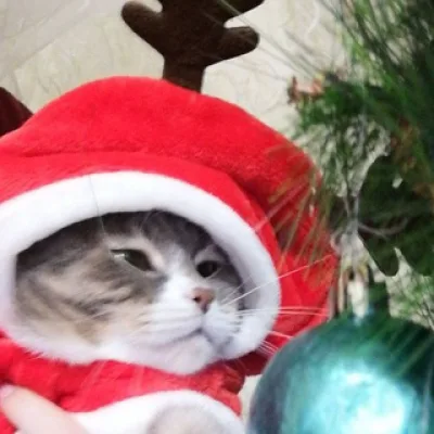 🧸new_year_days🎄