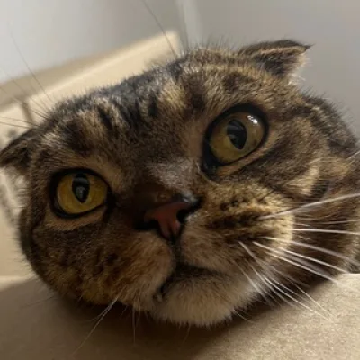 Костя 👀