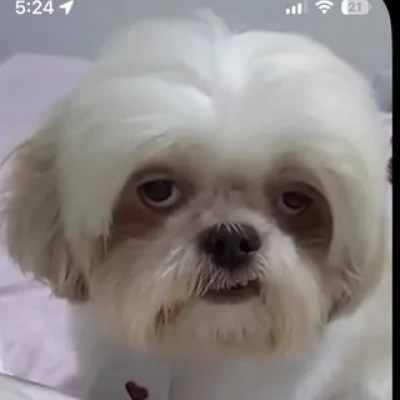 G+