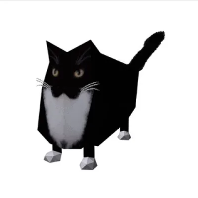 patch