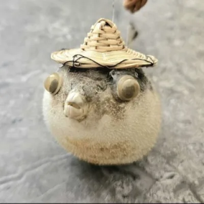 𝙰𝚗𝚗 𝚃.