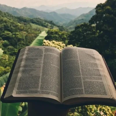 📖 С Библией по жизни 📖
