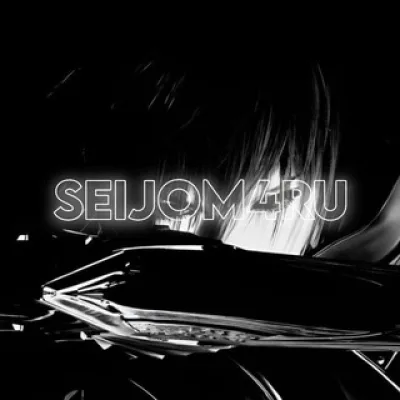 seijom4ru steam profiles
