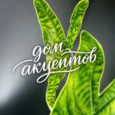 🛍 Дом Акцентов