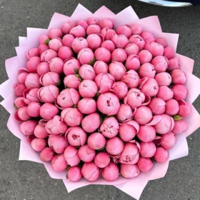 Moscow_flowers_24