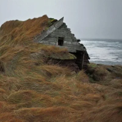 fomacorchik