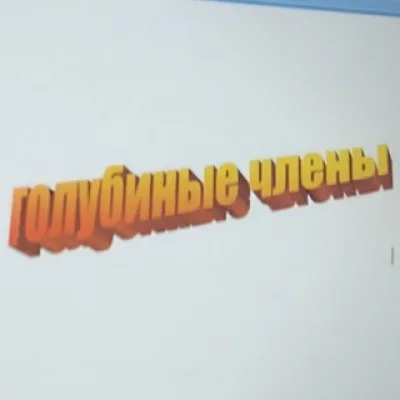 голубиные челны