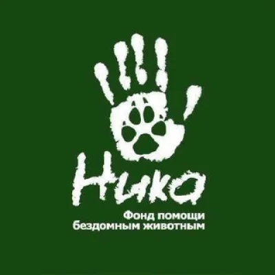 Помощник БФ "Ника"