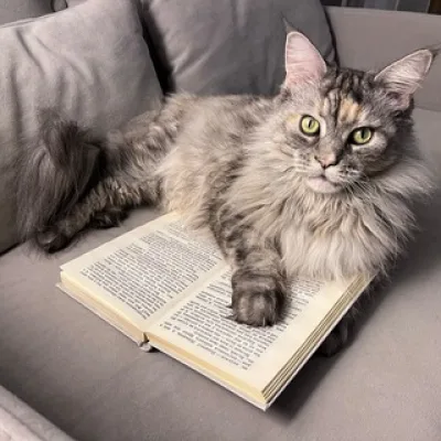 НЕвеликое КОТОкнижие | Анастасия Зарецкая