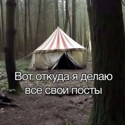 ⸙Вересковая пустошь⸙