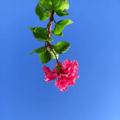 𝐂𝐫𝐞𝐚𝐭𝐢𝐯𝐢𝐭𝐲 𝐏𝐨𝐢𝐧𝐭
