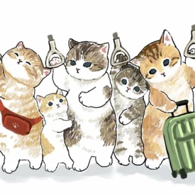 yopta kittens