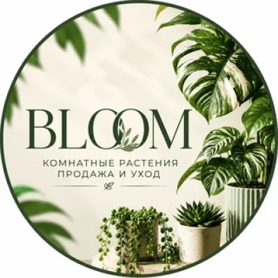 BLOOM | Россия