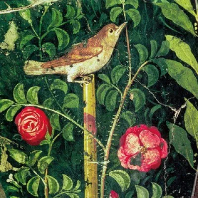 Cubile philomelæ