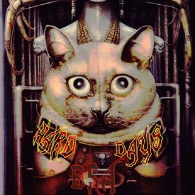 harddays_chanel