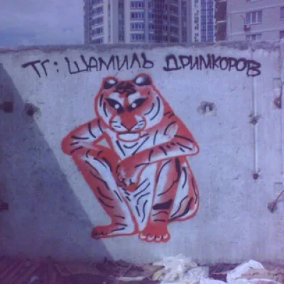 Шамиль Дримкоров 2.0