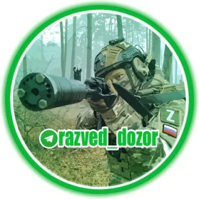 РаZвед_ДоZор