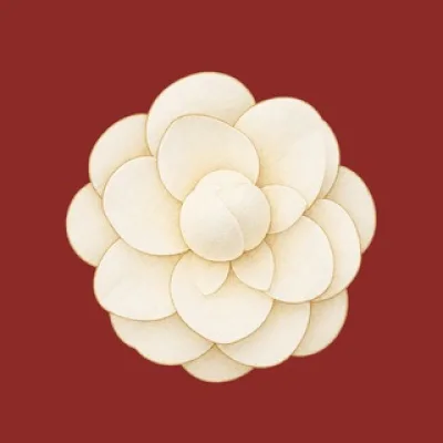 rosacandila