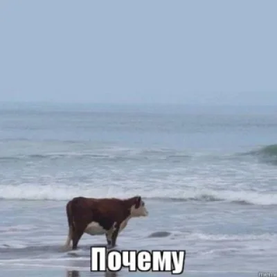 Лиля✨