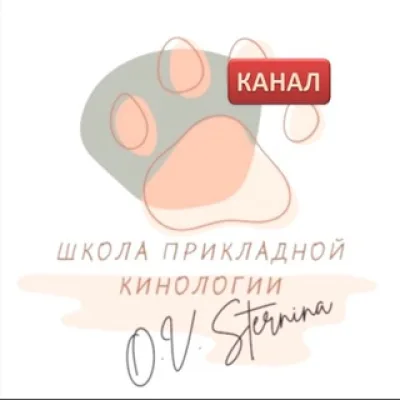 🌐STERNDOGS.online | Школа Прикладной кинологии О.В. Стерниной 🌐STERNDOGS.online