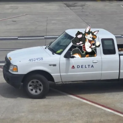 Aviation Whores