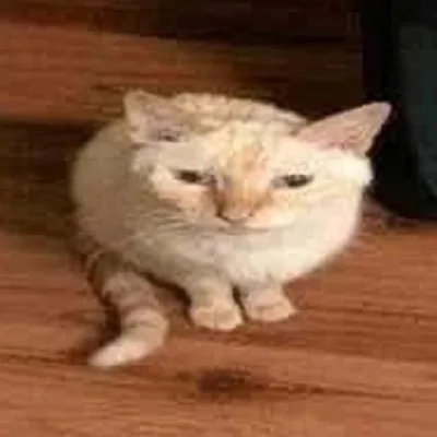 9евяточки