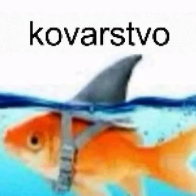 Голубятник номер девять