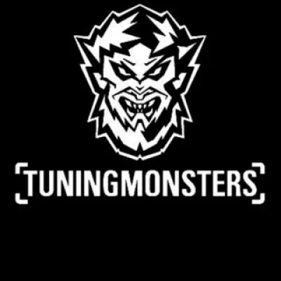 TuningMonsters Оклейка | Детейлин