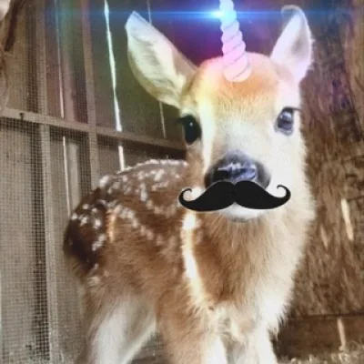 диля