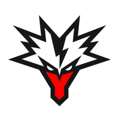 Team Yandex MLBB