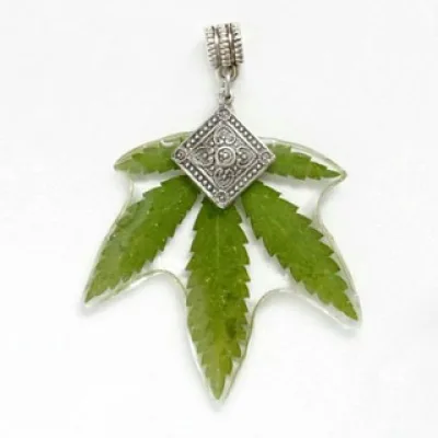 Настя Ботаника | Botanica_style