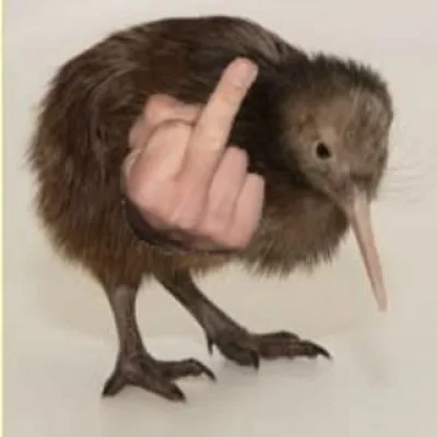 bloodrvte
