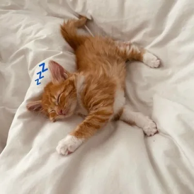 eepykittenspredl