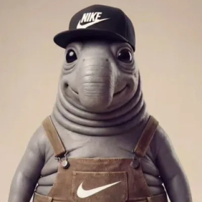 нордежда