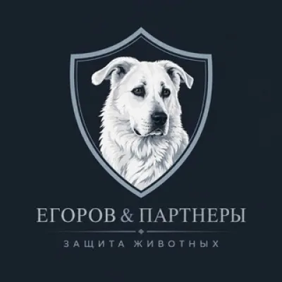 "Егоров и партнеры защита животных "