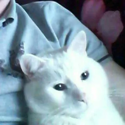 Pavel