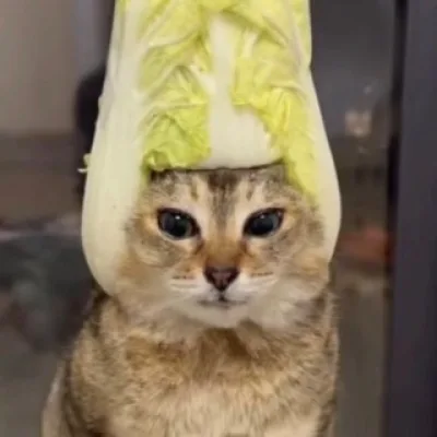 Бибизянкова