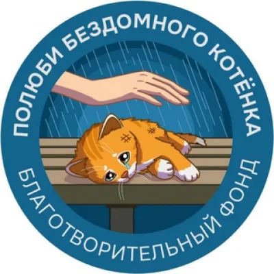 Полюби бездомного котёнка