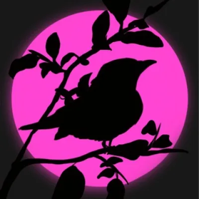 MARY REED | art & design |
