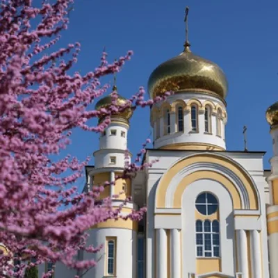Владикавказская и Аланская епархия
