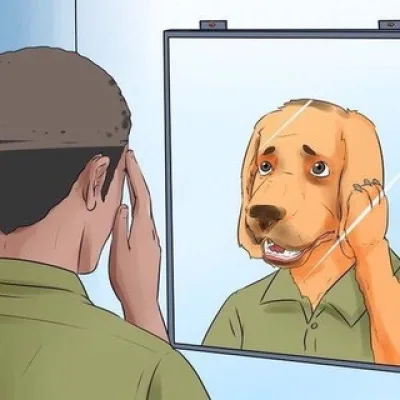 D. N.
