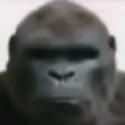 zzimk
