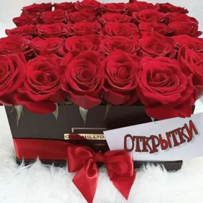 Открытки Поздравления
