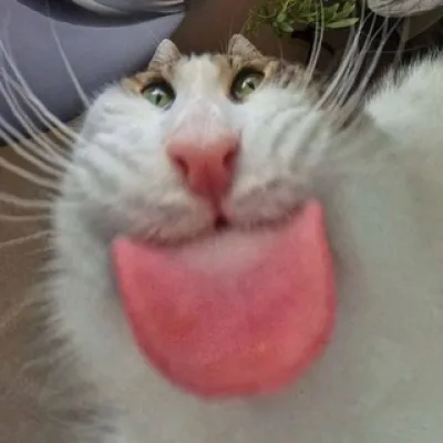 Bròn Duine
